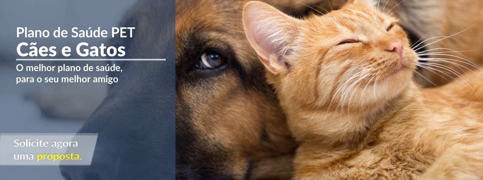 slide_saude_pet slide_saude_pet